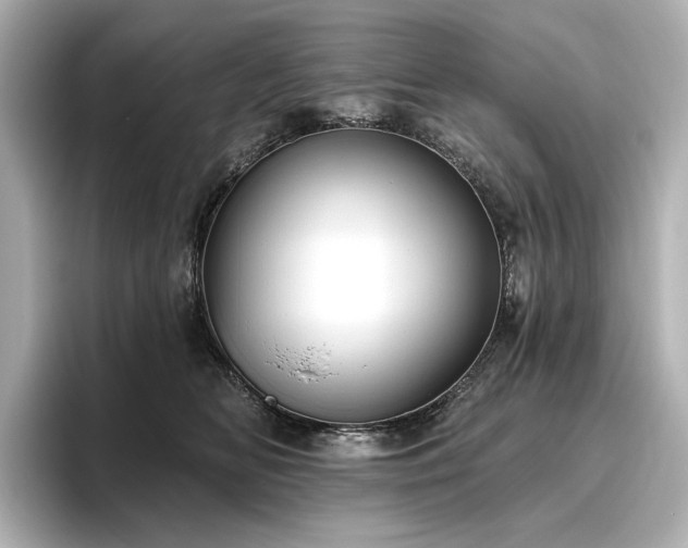 X0000096450518200801241421