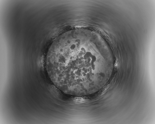 X0000096450519200801241421