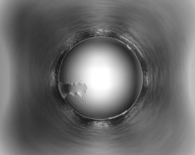 X0000096450520200801241421