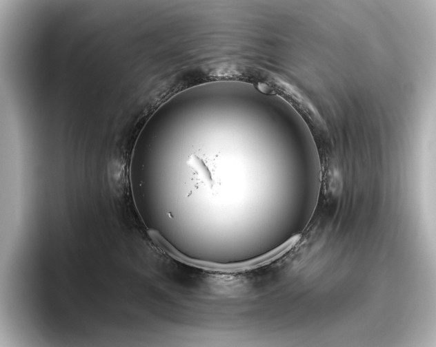 X0000096450521200801241421