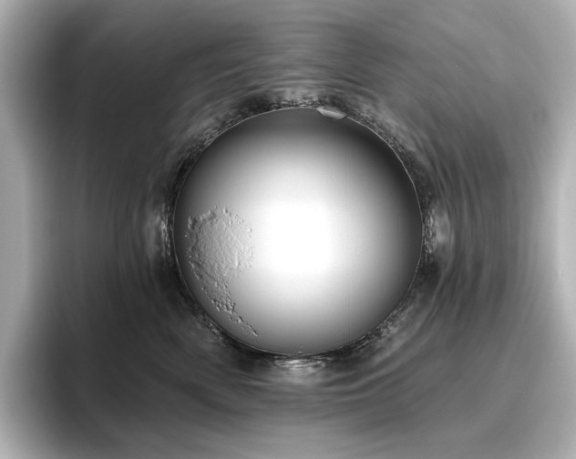 X0000096450522200801241421