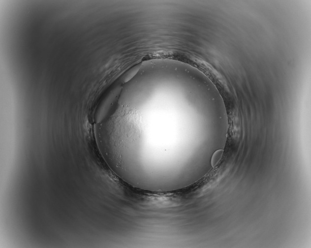 X0000096450523200801241421