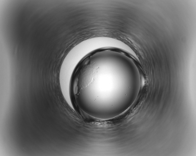 X0000096450524200801241421