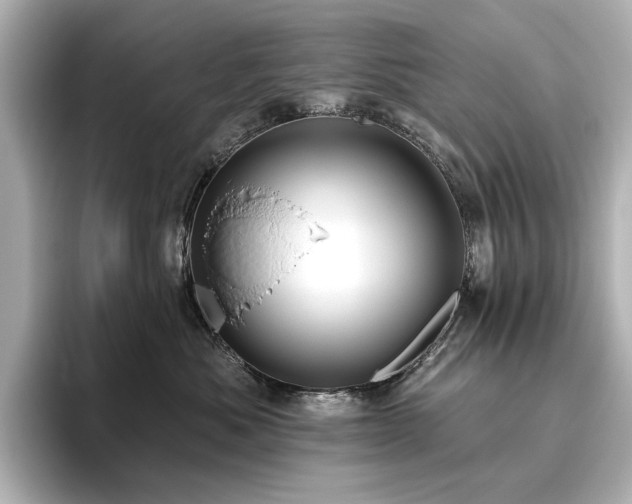 X0000096450525200801241421