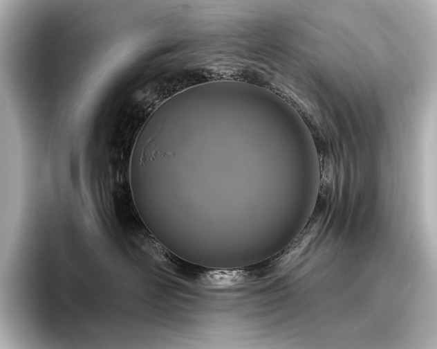 X0000096450526200801241421