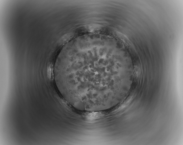 X0000096450527200801241421