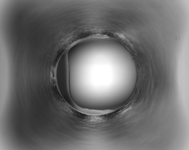 X0000096450528200801241421