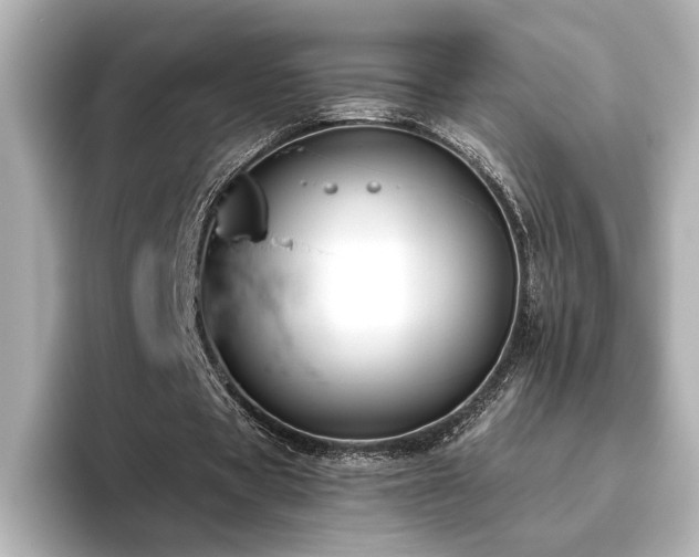 X0000096450529200801241420