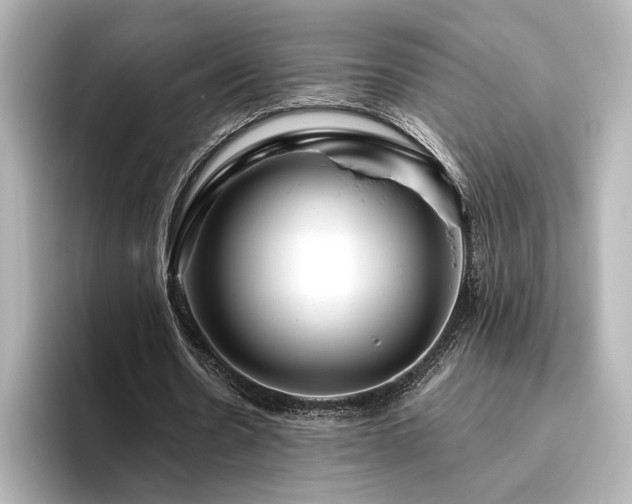 X0000096450530200801241420