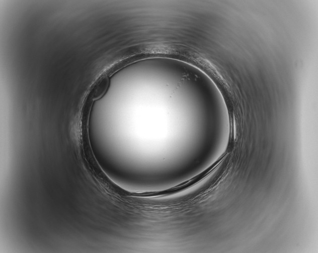 X0000096450531200801241420