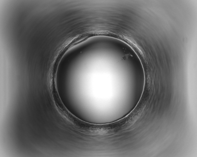 X0000096450533200801241420