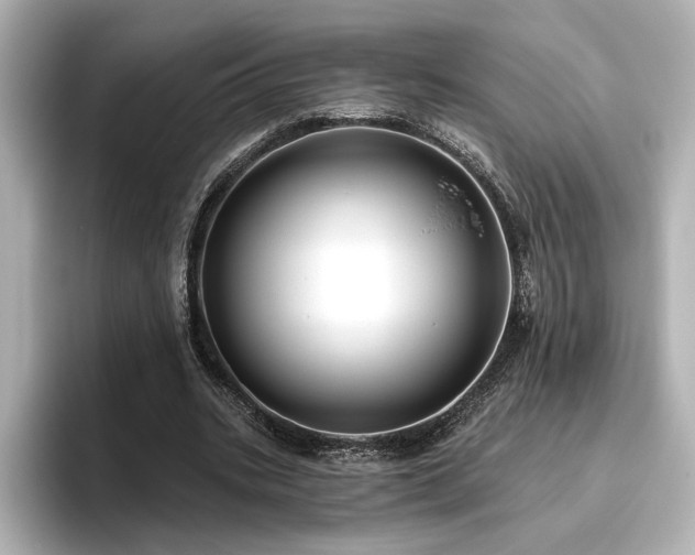 X0000096450535200801241420