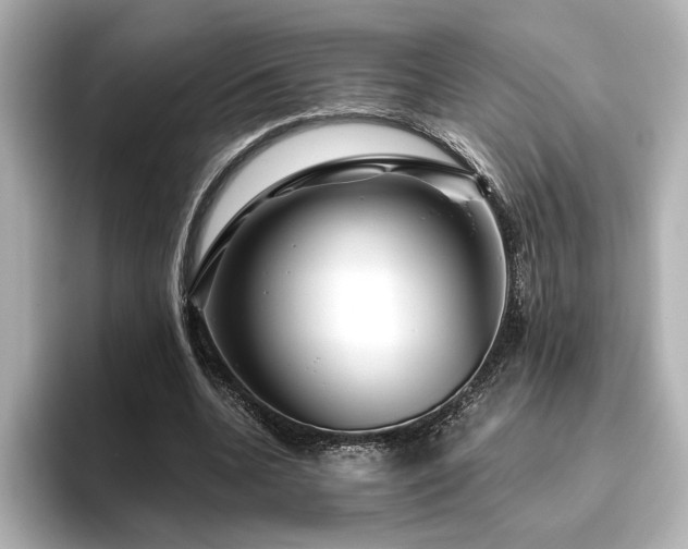 X0000096450536200801241420