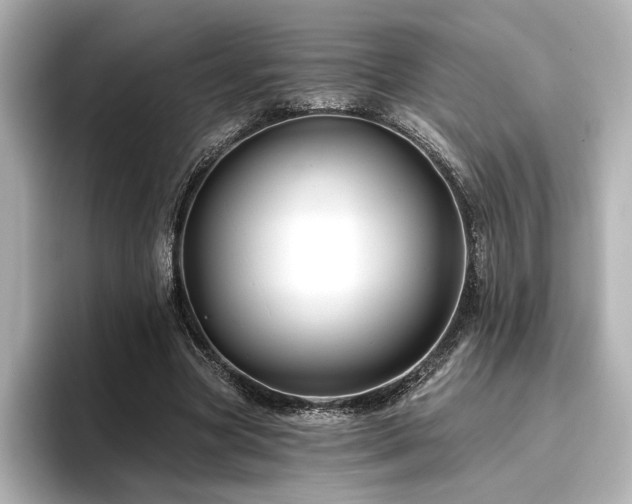 X0000096450537200801241420