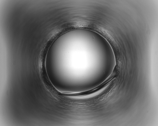 X0000096450539200801241420