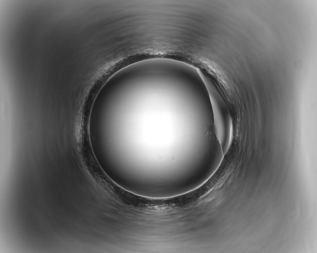 X0000096450540200801241420