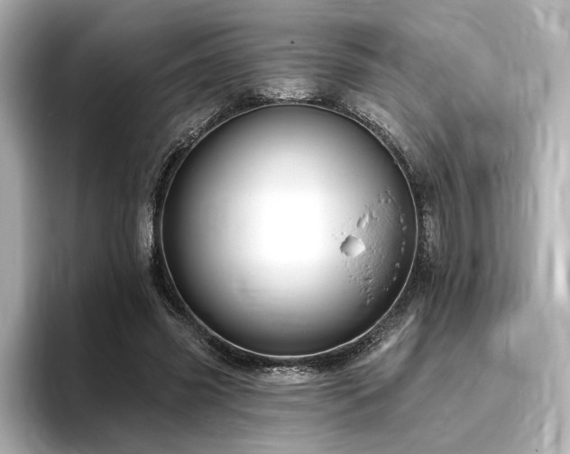 X0000096450541200801241420