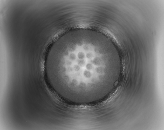 X0000096450542200801241420