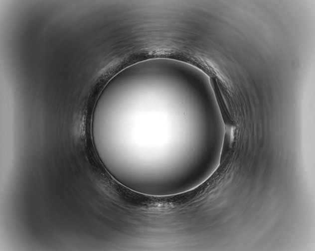 X0000096450543200801241420