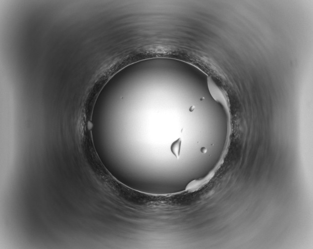 X0000096450544200801241420