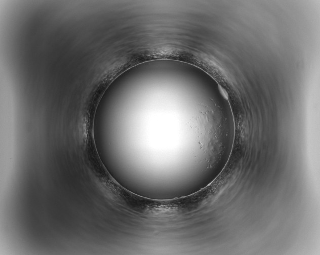 X0000096450546200801241421