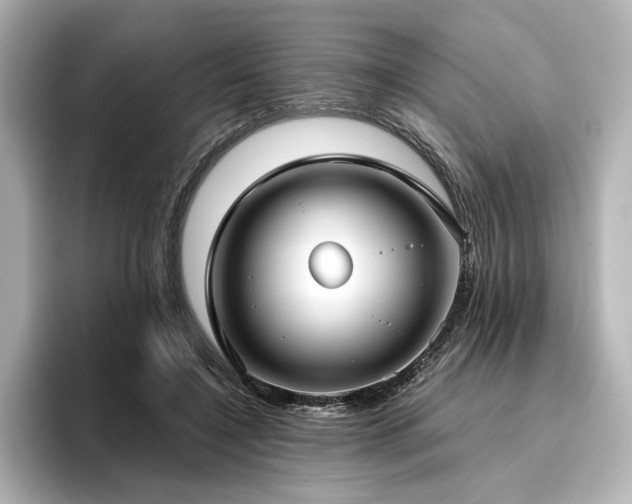 X0000096450548200801241421