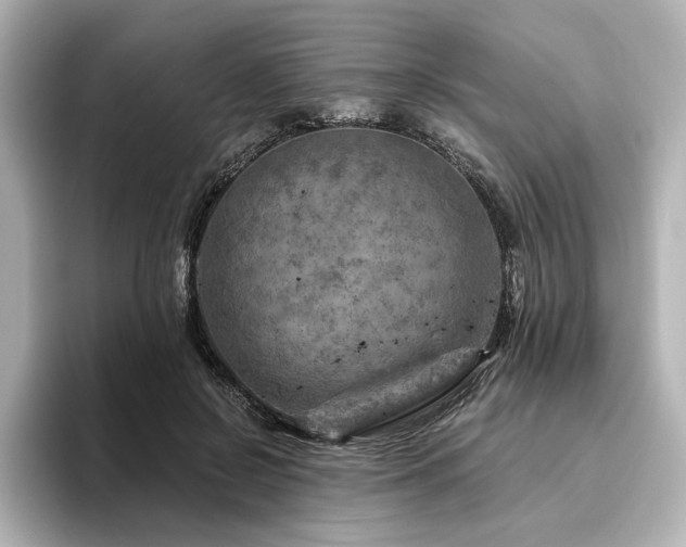 X0000096450550200801241421