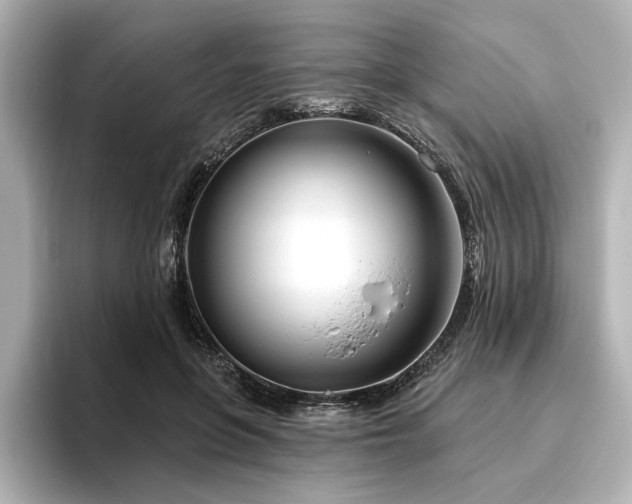 X0000096450551200801241421