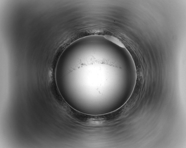 X0000096450556200801241421