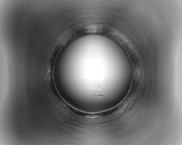 X0000096450557200801241421