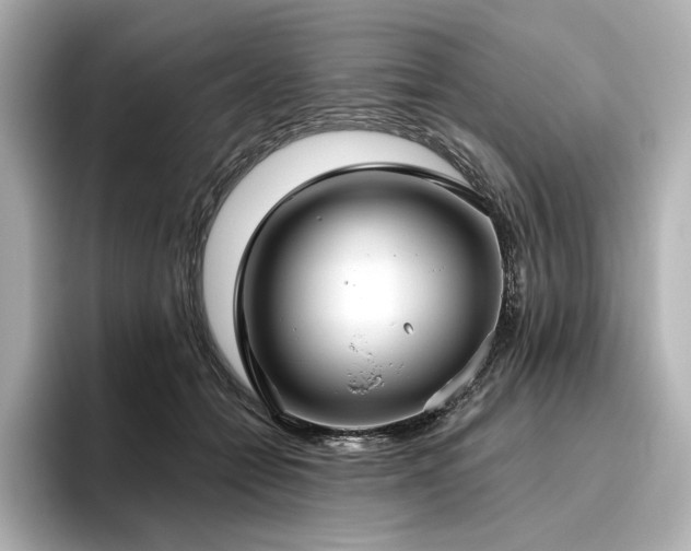 X0000096450558200801241421