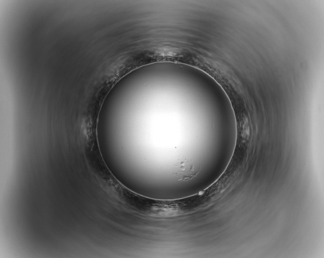 X0000096450559200801241421