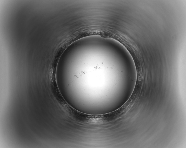 X0000096450560200801241421