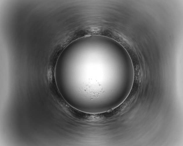 X0000096450562200801241421
