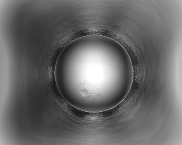 X0000096450563200801241421