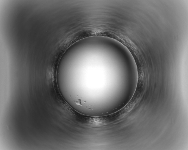 X0000096450565200801241421