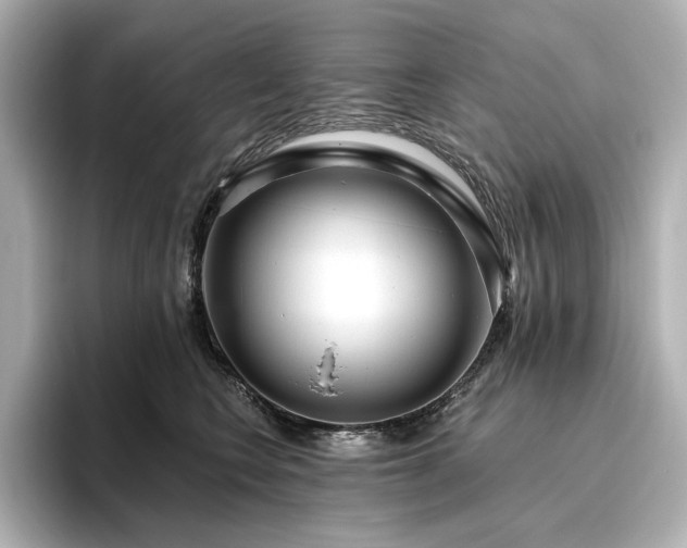 X0000096450566200801241421