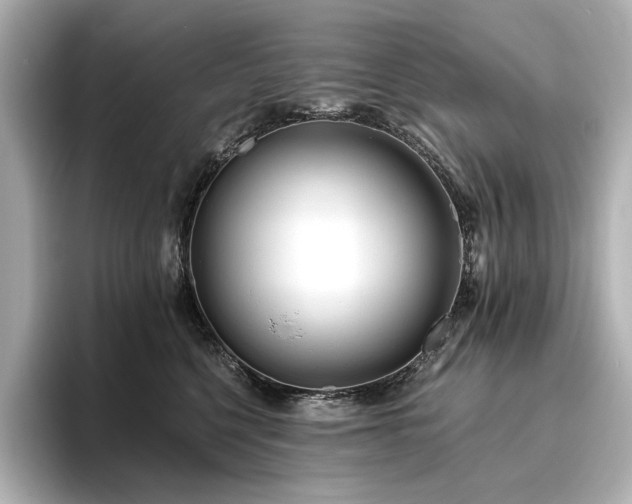 X0000096450568200801241421