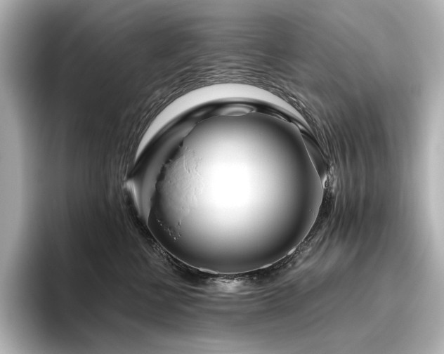 X0000096450570200801241421