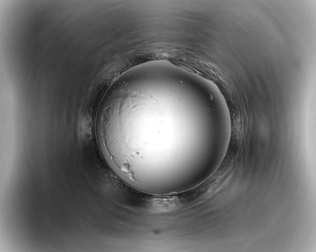 X0000096450571200801241421