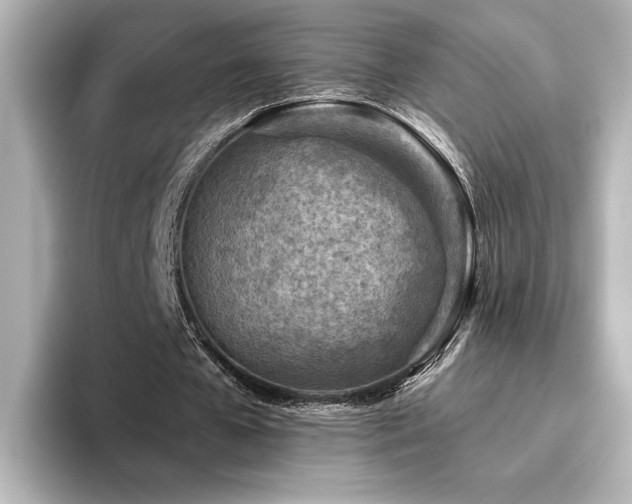 X0000096450577200801241420