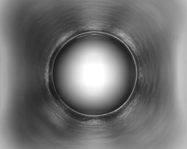 X0000096450578200801241420