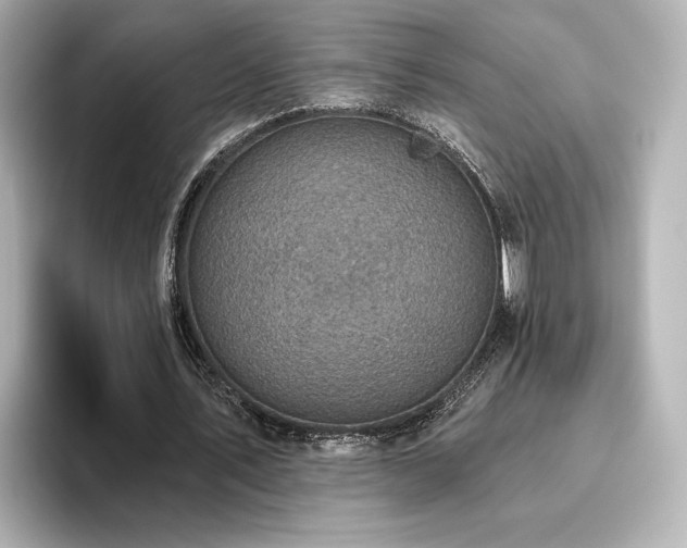 X0000096450579200801241420