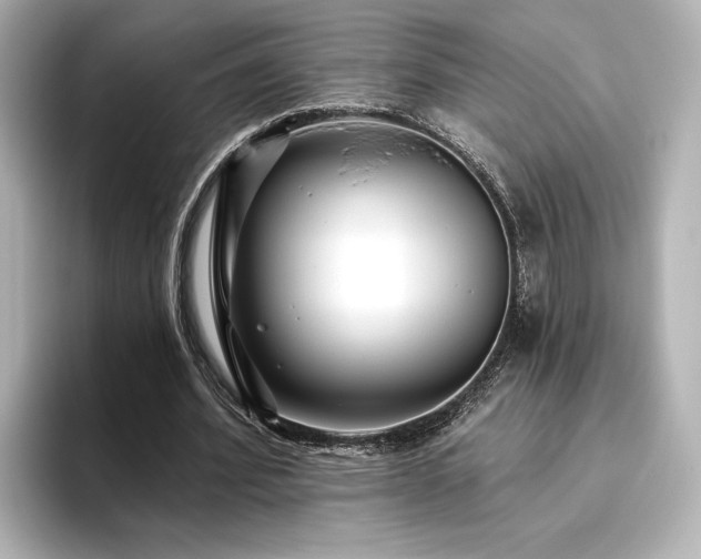 X0000096450580200801241420