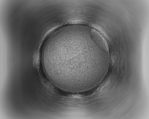 X0000096450583200801241420