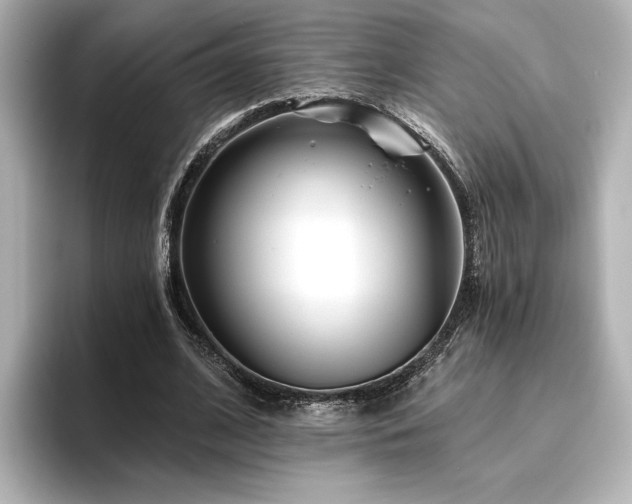 X0000096450584200801241420