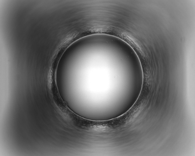 X0000096450586200801241420