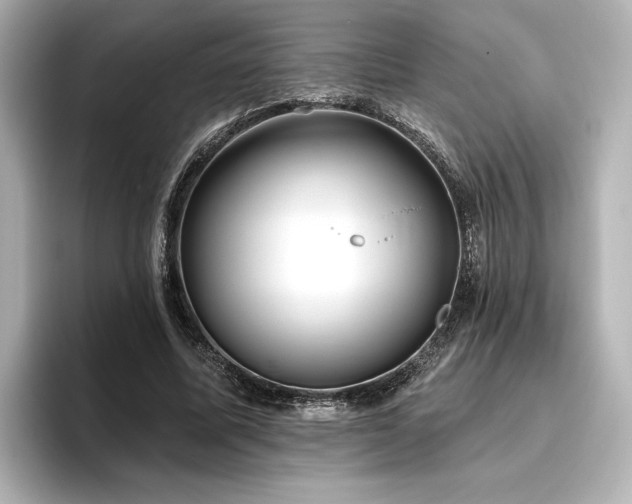X0000096450587200801241420