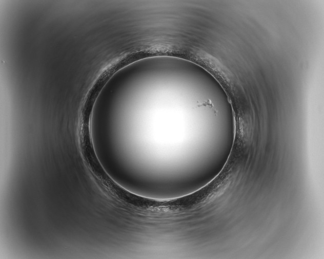 X0000096450588200801241420