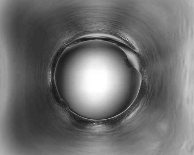 X0000096450589200801241420